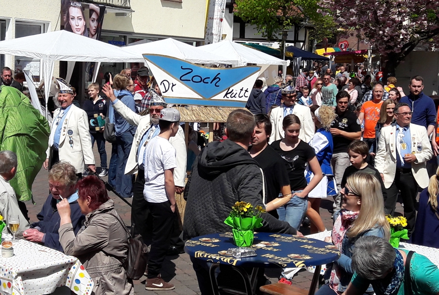 Umzug Stadtfest 2016